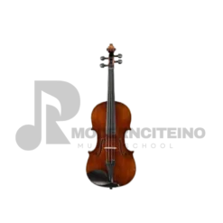 High Quality Intermediate Violin Eastman VL305 in Pennsylvania